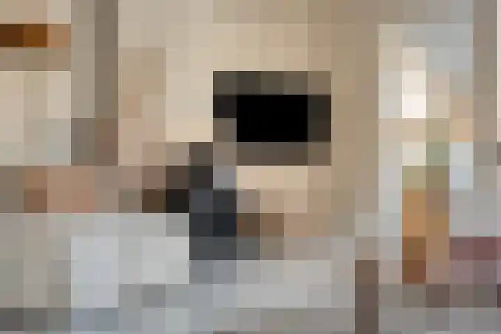 P. Rijsdijkstraat 23 Sliedrecht thumbnail 8
