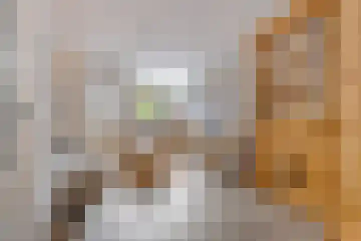 P. Rijsdijkstraat 29 Sliedrecht thumbnail 4