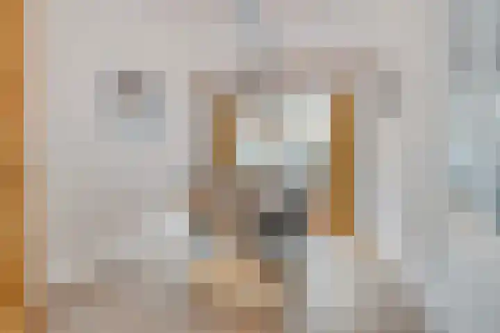 P. Rijsdijkstraat 29 Sliedrecht thumbnail 7