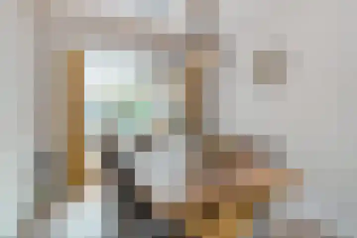 P. Rijsdijkstraat 29 Sliedrecht thumbnail 8