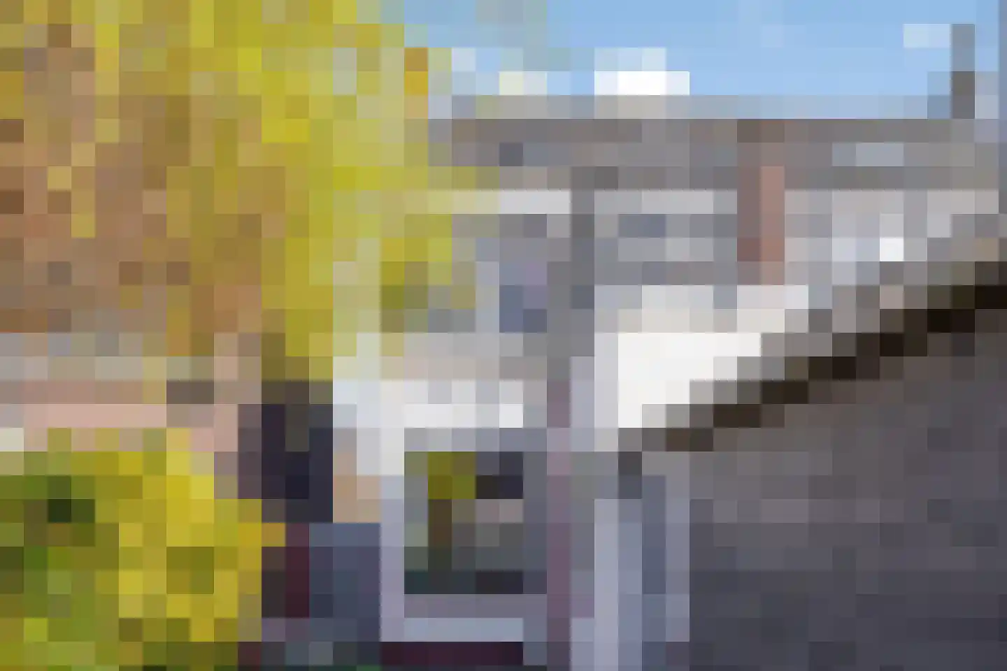 P. Rijsdijkstraat 41 Sliedrecht thumbnail 24