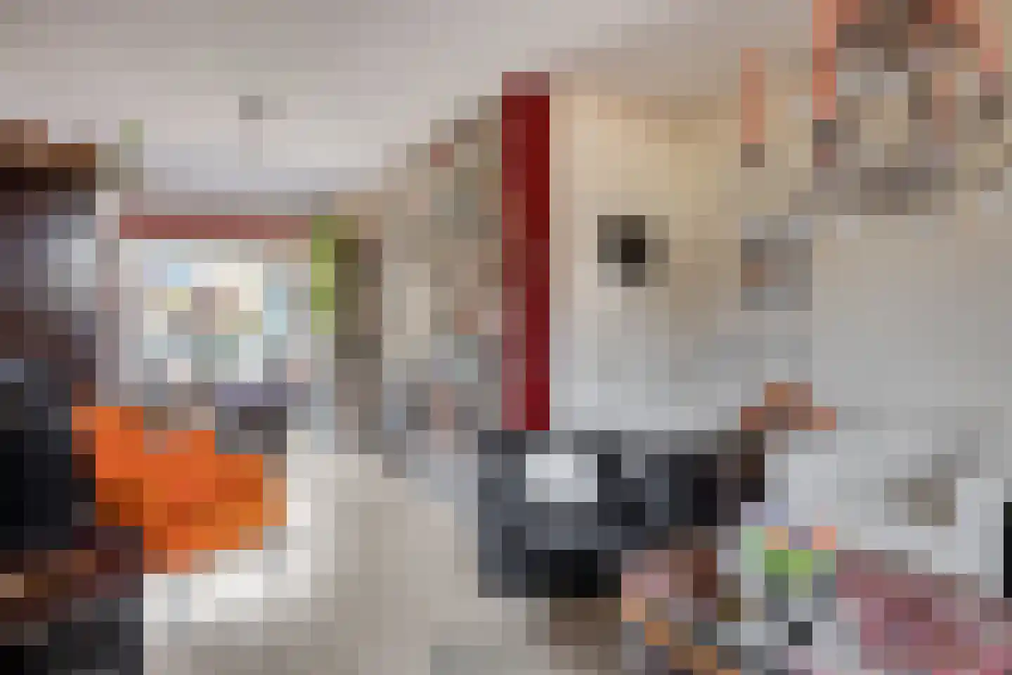 P. Rijsdijkstraat 41 Sliedrecht thumbnail 4
