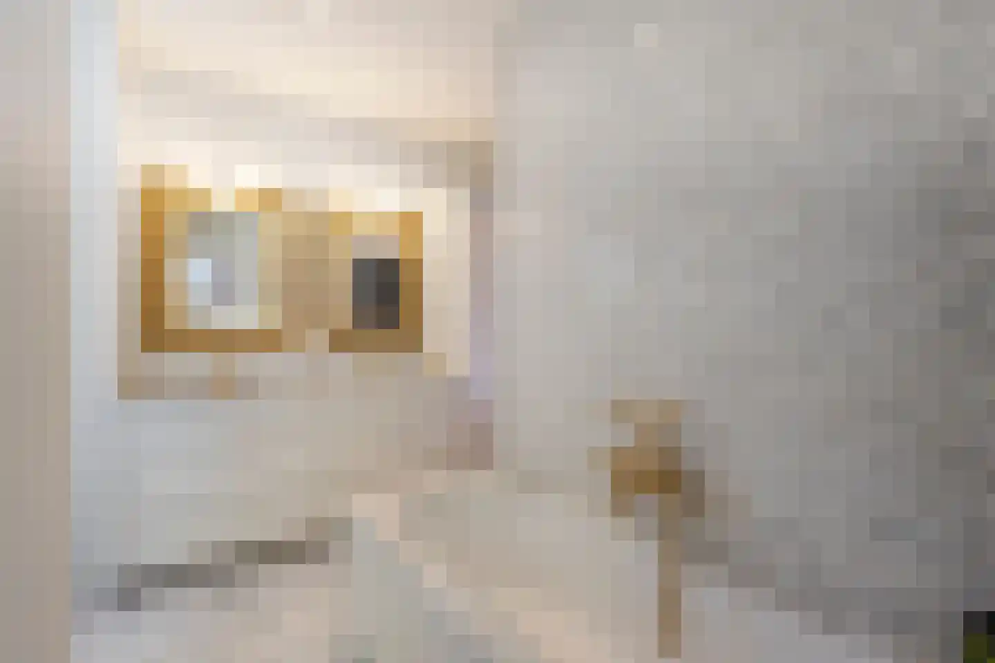 P. Rijsdijkstraat 64 Sliedrecht thumbnail 16