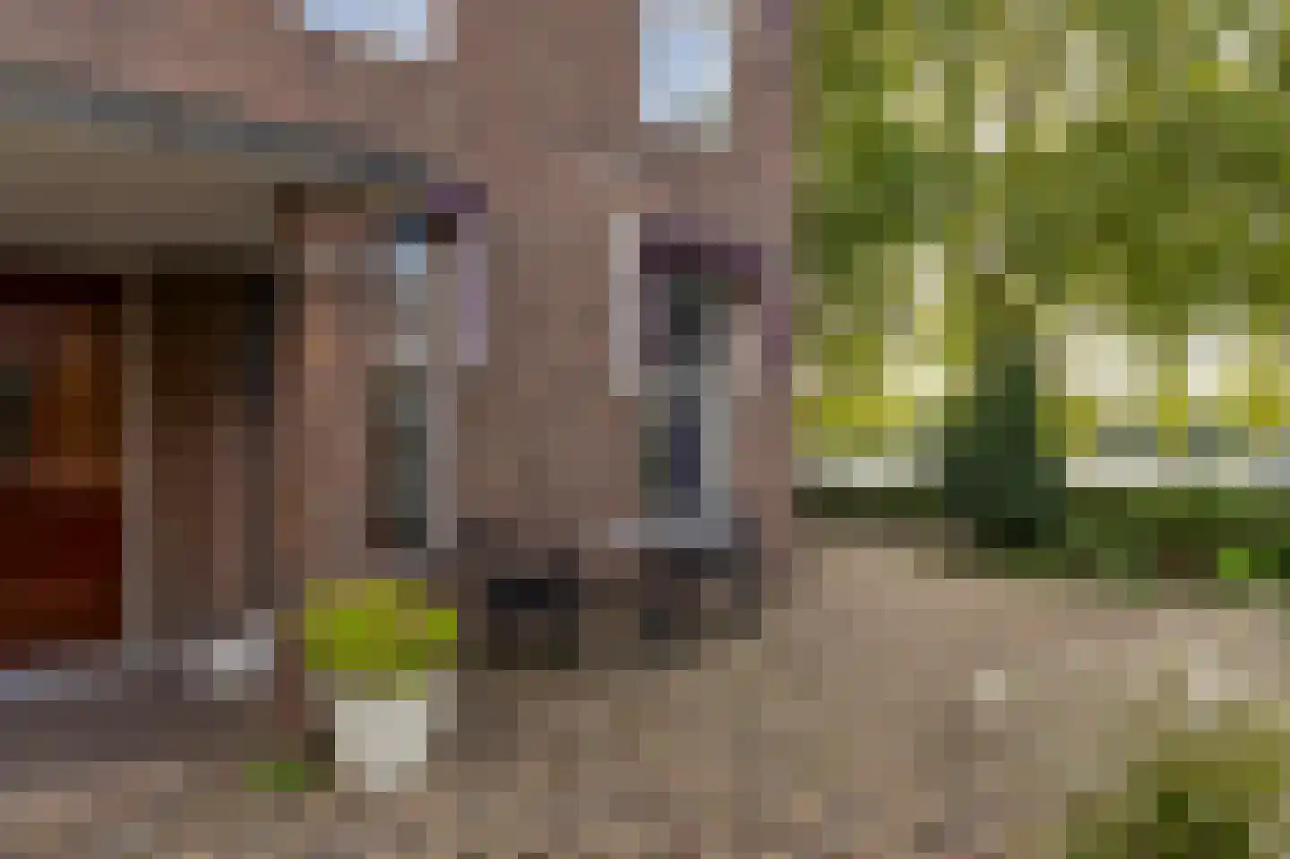 P. Rijsdijkstraat 64 Sliedrecht thumbnail 29
