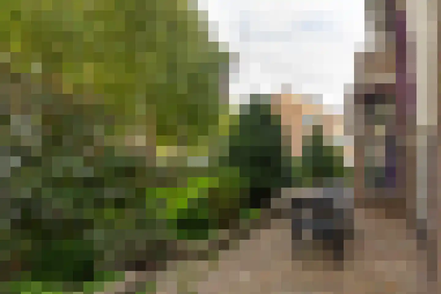 P. Rijsdijkstraat 64 Sliedrecht thumbnail 32