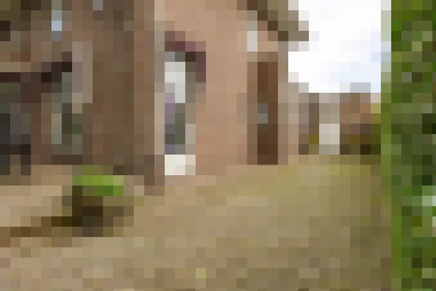 P. Rijsdijkstraat 64 Sliedrecht thumbnail 33