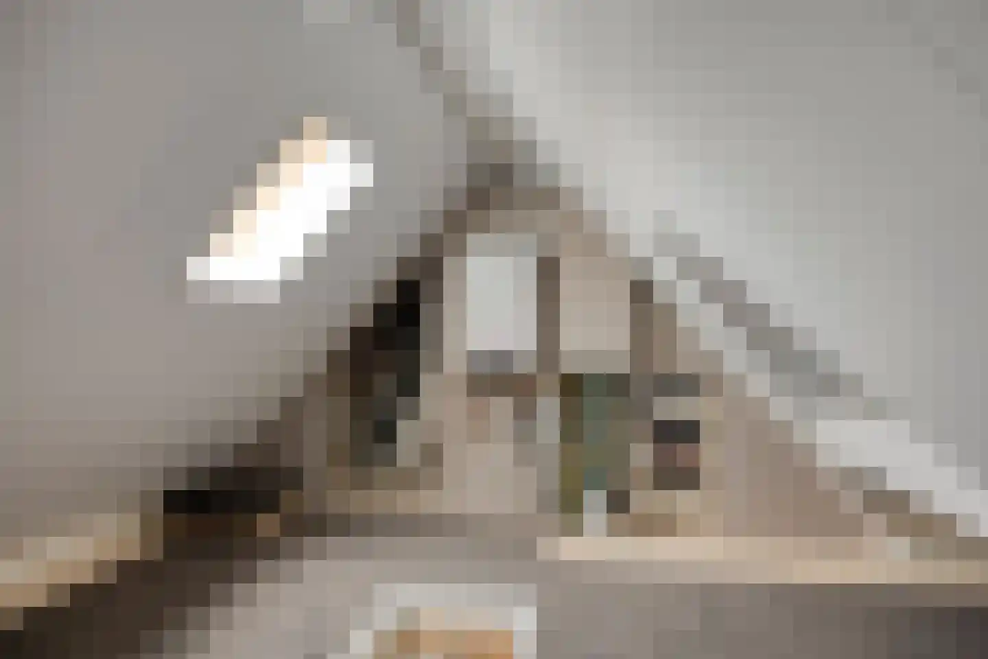 P. Rijsdijkstraat 8 Sliedrecht thumbnail 21