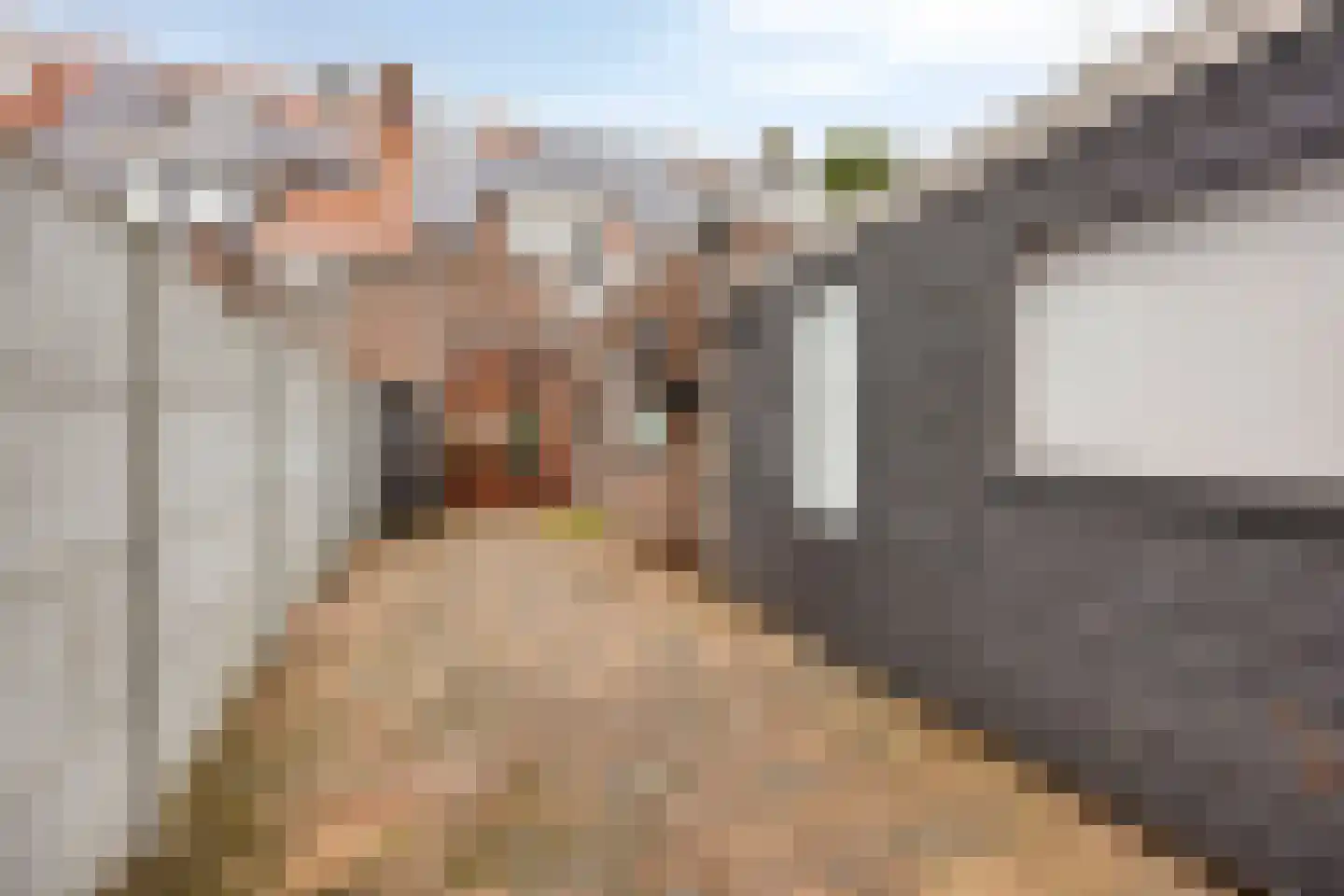 P. Rijsdijkstraat 8 Sliedrecht thumbnail 26