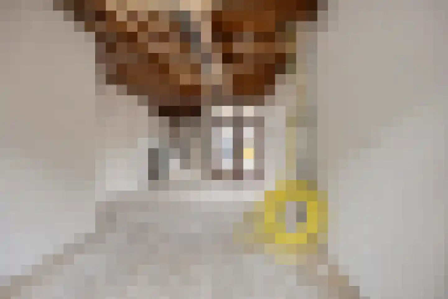 P. Rijsdijkstraat 8 Sliedrecht thumbnail 4