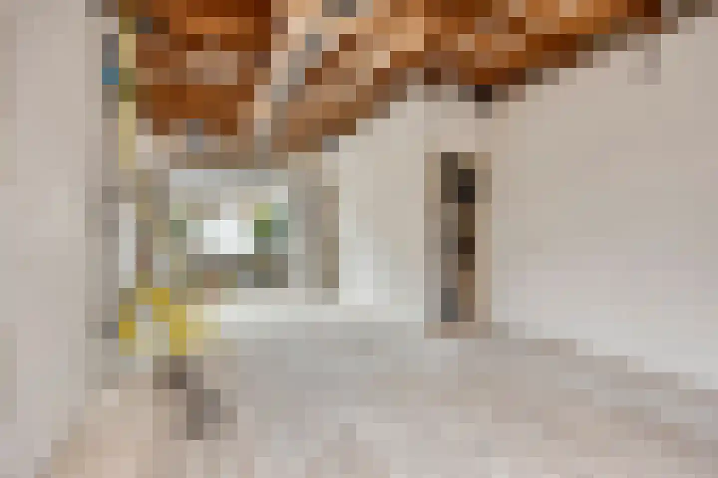 P. Rijsdijkstraat 8 Sliedrecht thumbnail 5