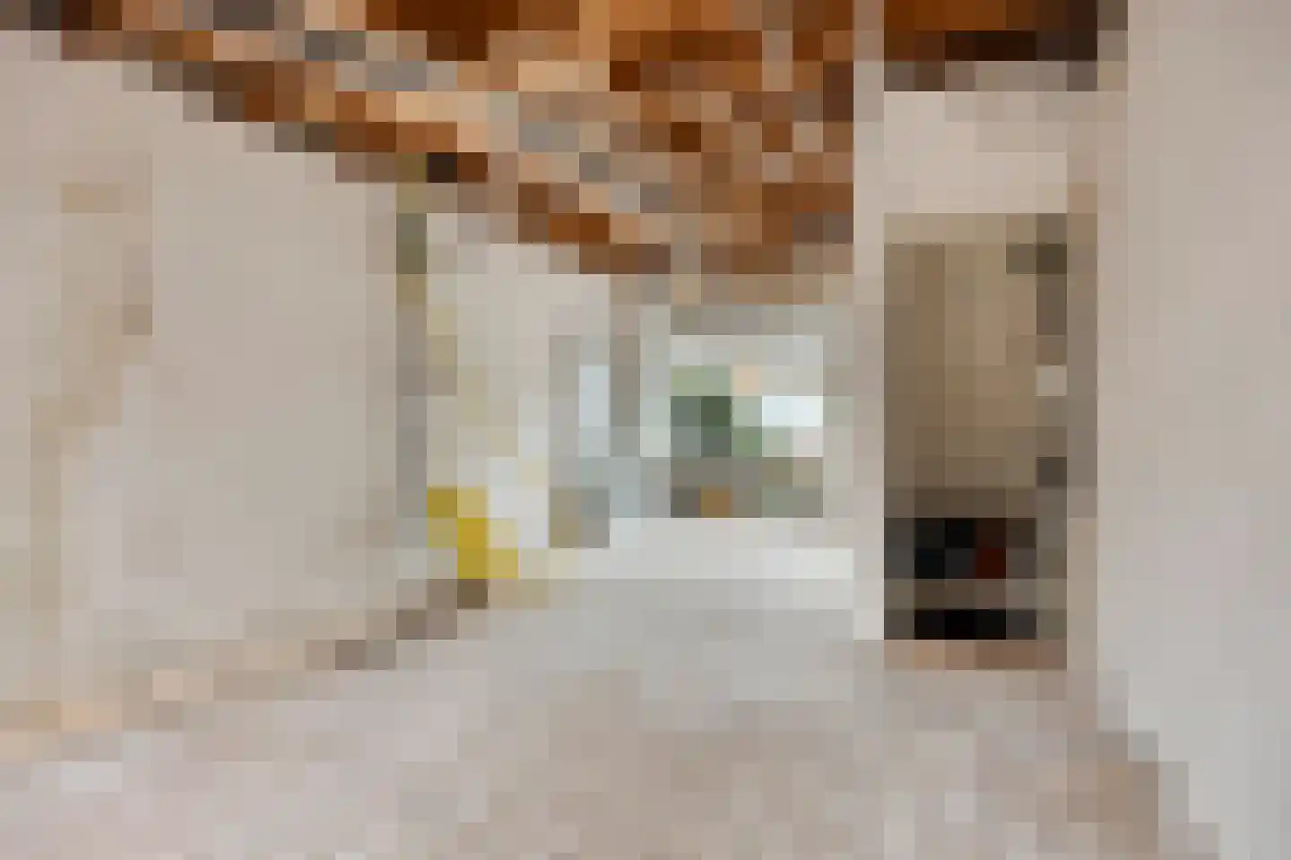 P. Rijsdijkstraat 8 Sliedrecht thumbnail 6