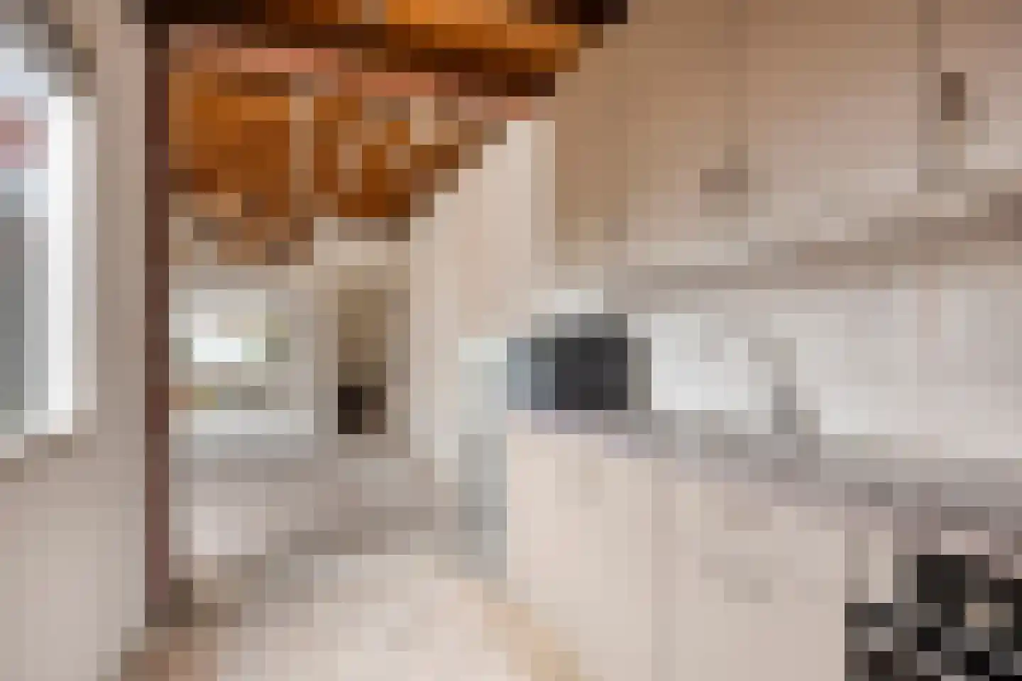 P. Rijsdijkstraat 8 Sliedrecht thumbnail 8