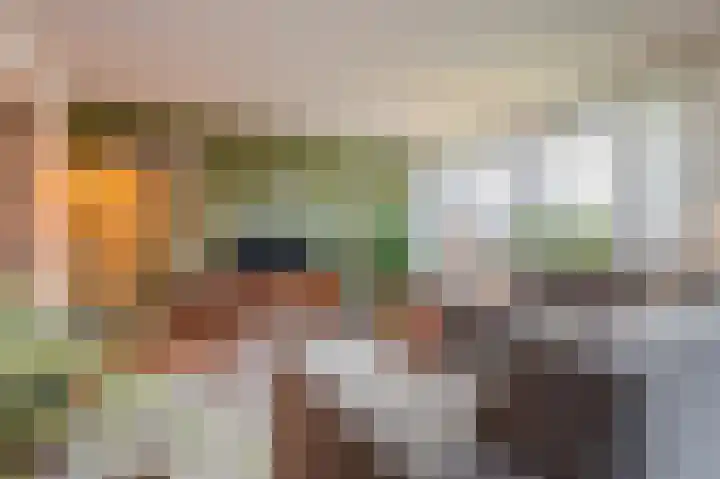 P.S. Gerbrandyhof 31 Hoogezand thumbnail 23
