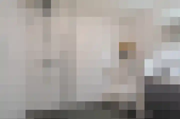 P.S. Gerbrandyhof 31 Hoogezand thumbnail 38