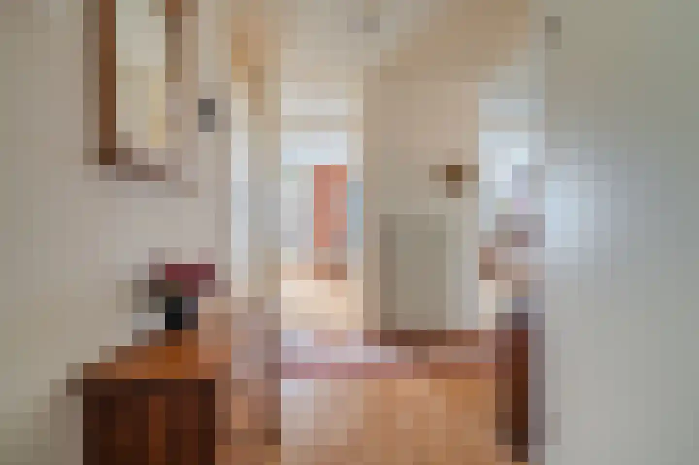 P.S. Gerbrandyhof 37 Hoogezand thumbnail 17
