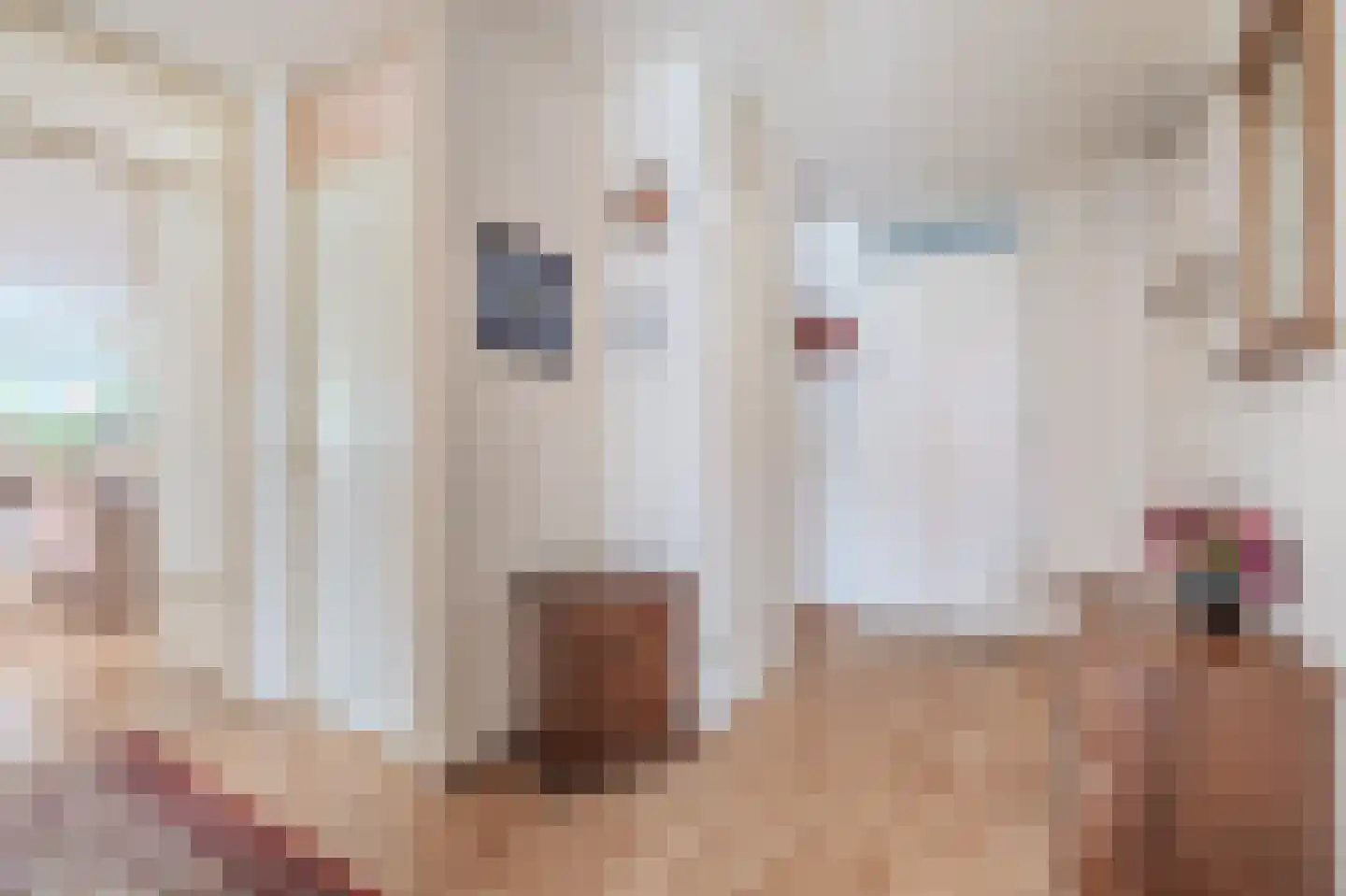 P.S. Gerbrandyhof 37 Hoogezand thumbnail 18