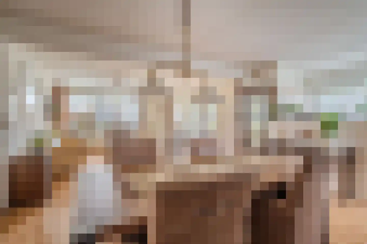 P.S. Gerbrandyhof 37 Hoogezand thumbnail 20