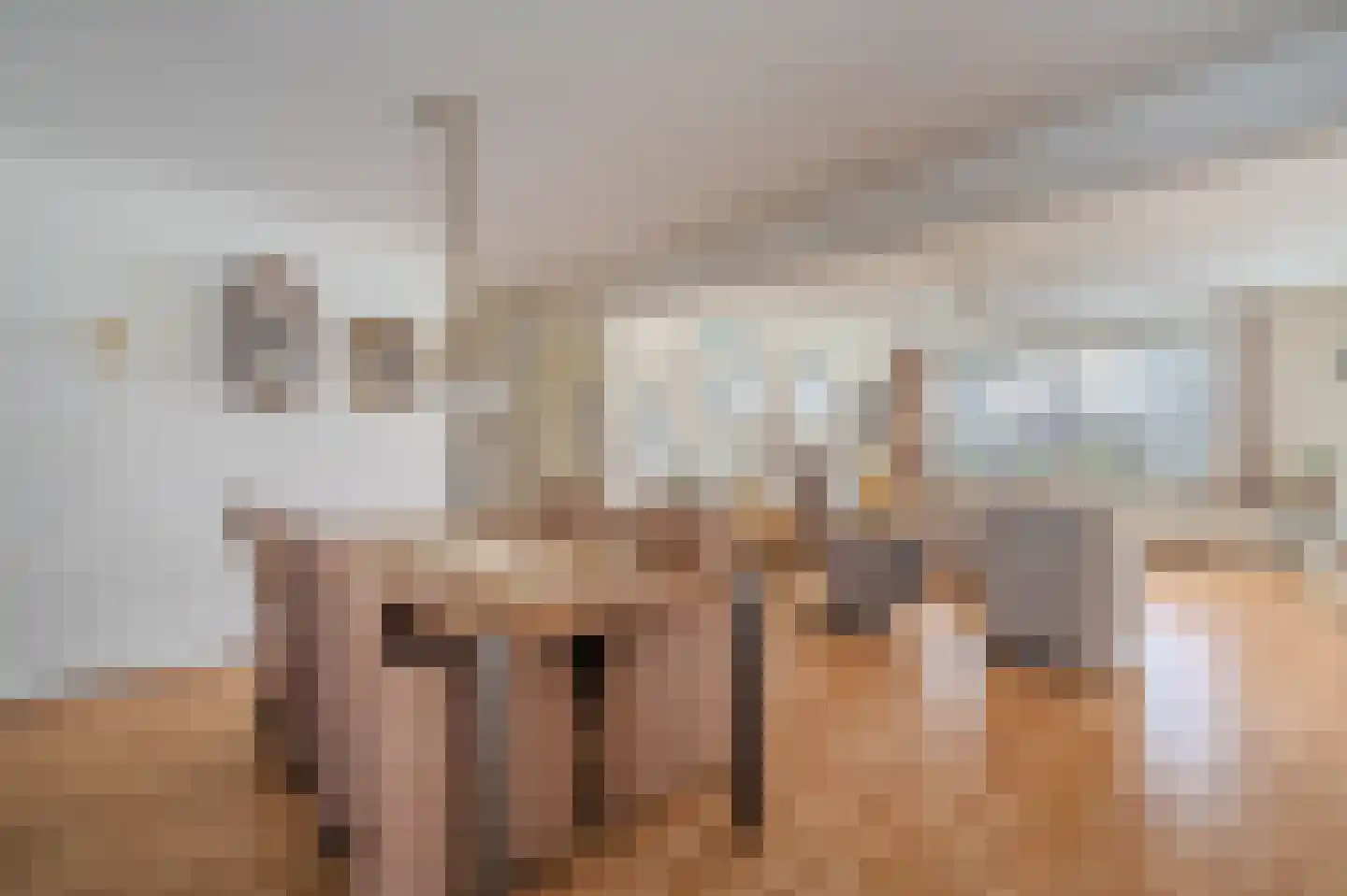 P.S. Gerbrandyhof 37 Hoogezand thumbnail 22