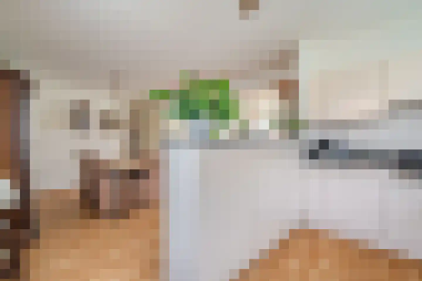 P.S. Gerbrandyhof 37 Hoogezand thumbnail 31