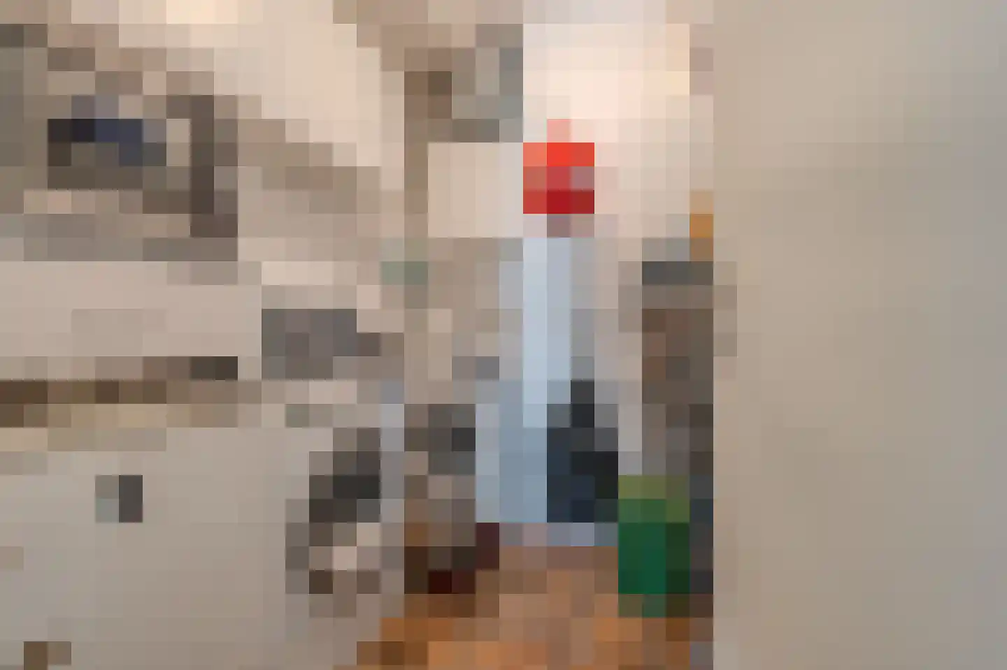 P.S. Gerbrandyhof 37 Hoogezand thumbnail 35