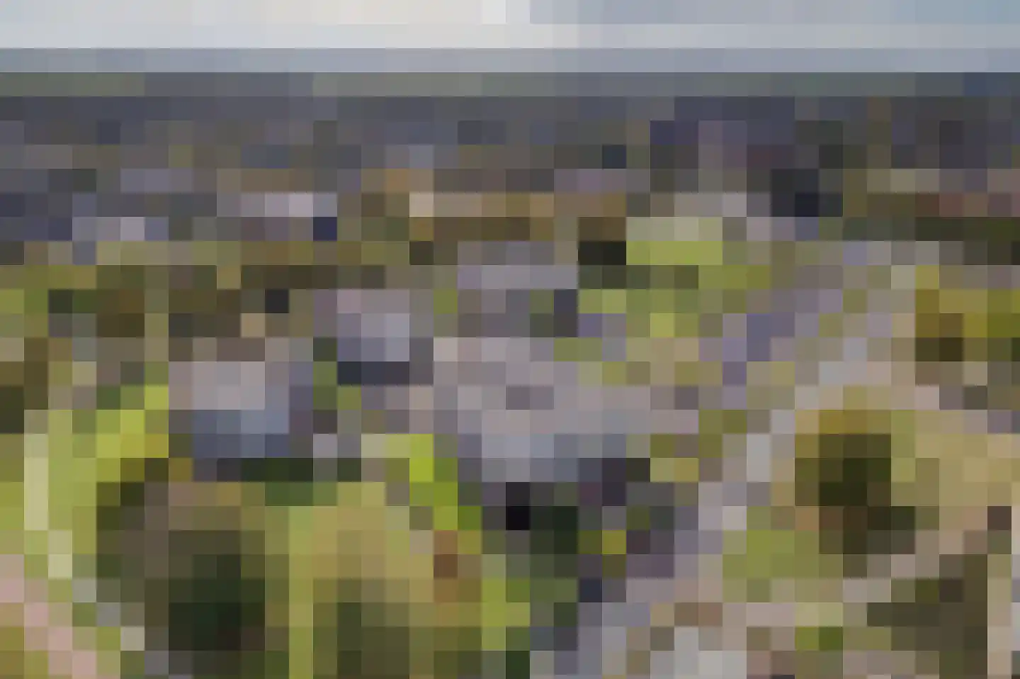 P.S. Gerbrandyhof 47 Hoogezand thumbnail 11