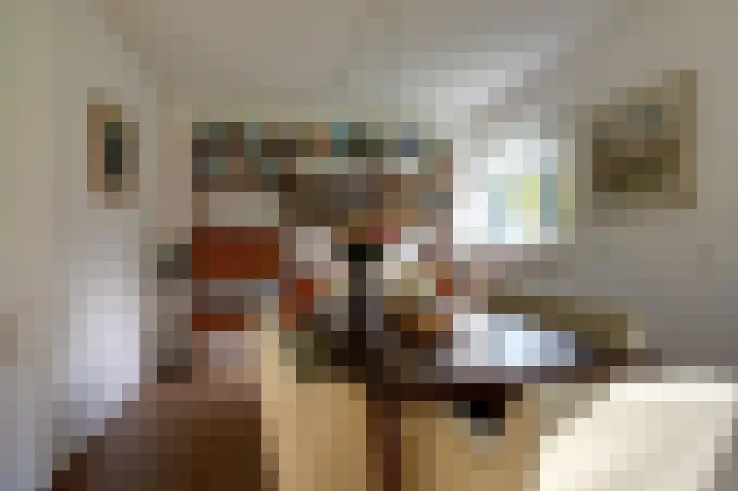 P.S. Gerbrandyhof 47 Hoogezand thumbnail 25