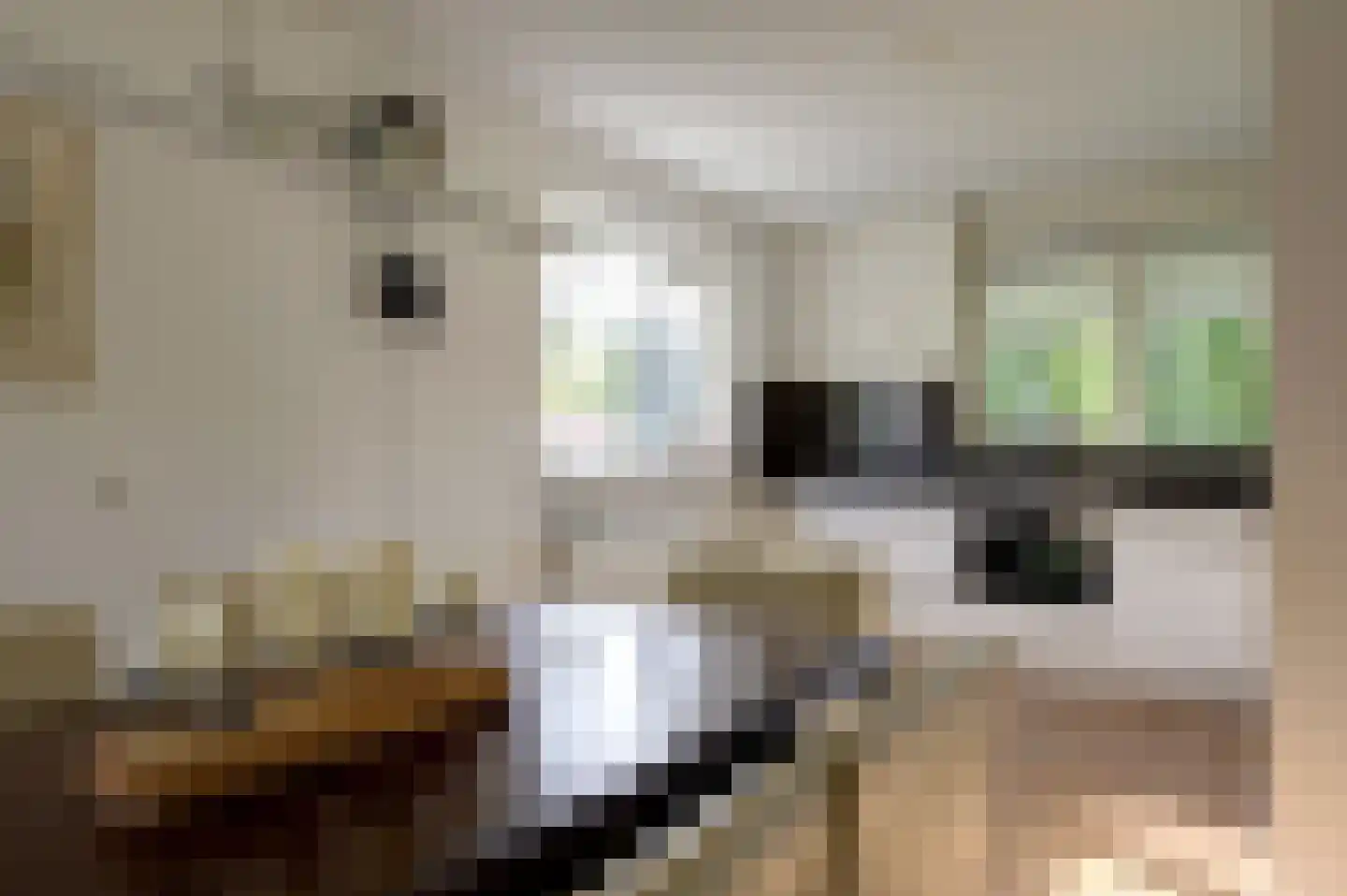 P.S. Gerbrandyhof 47 Hoogezand thumbnail 27