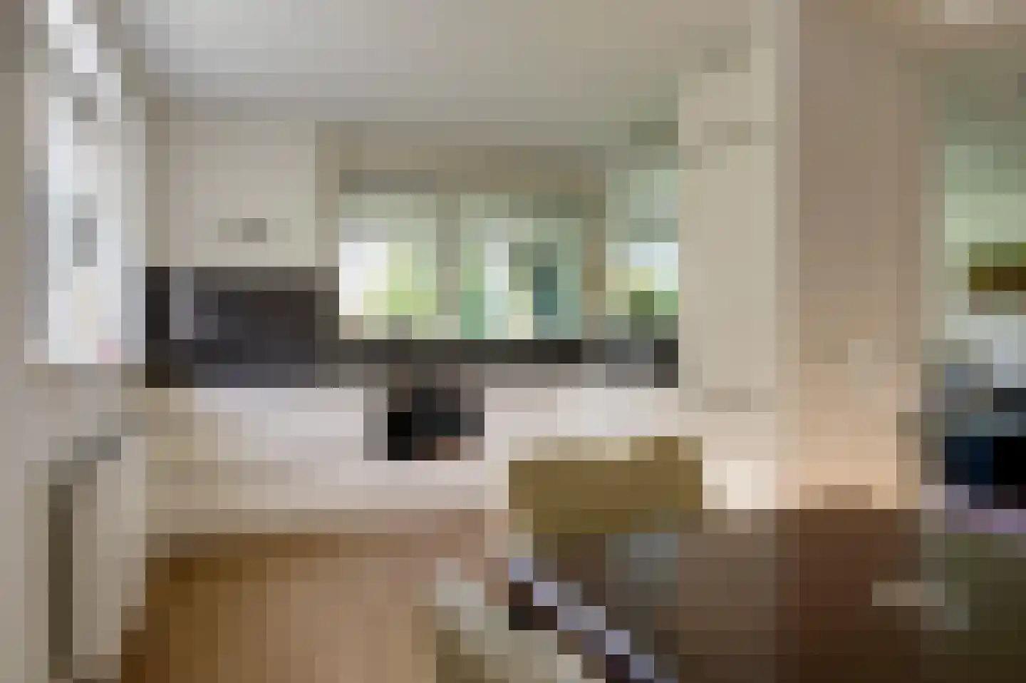 P.S. Gerbrandyhof 47 Hoogezand thumbnail 28