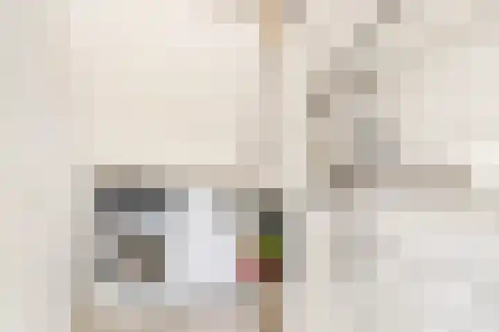 P.S. Gerbrandypad 24 Almere thumbnail 23