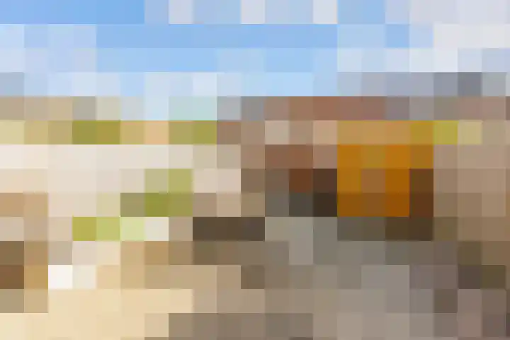 P.S. Gerbrandypad 24 Almere thumbnail 27