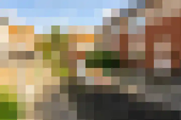 P.S. Gerbrandypad 24 Almere thumbnail 36