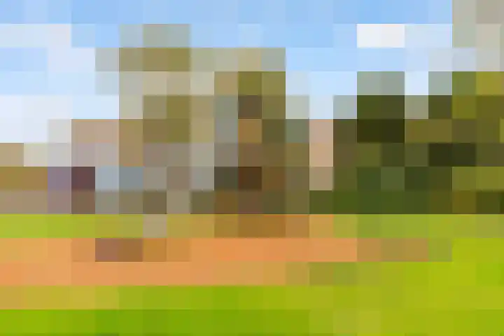 P.S. Gerbrandypad 24 Almere thumbnail 37