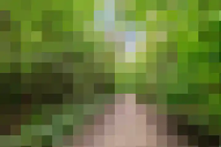 P.S. Gerbrandypad 24 Almere thumbnail 38