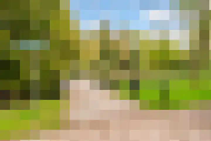 P.S. Gerbrandypad 24 Almere thumbnail 39