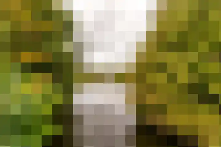 P.S. Gerbrandypad 24 Almere thumbnail 40