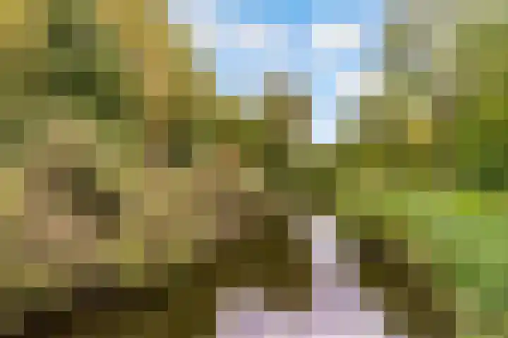 P.S. Gerbrandypad 24 Almere thumbnail 41
