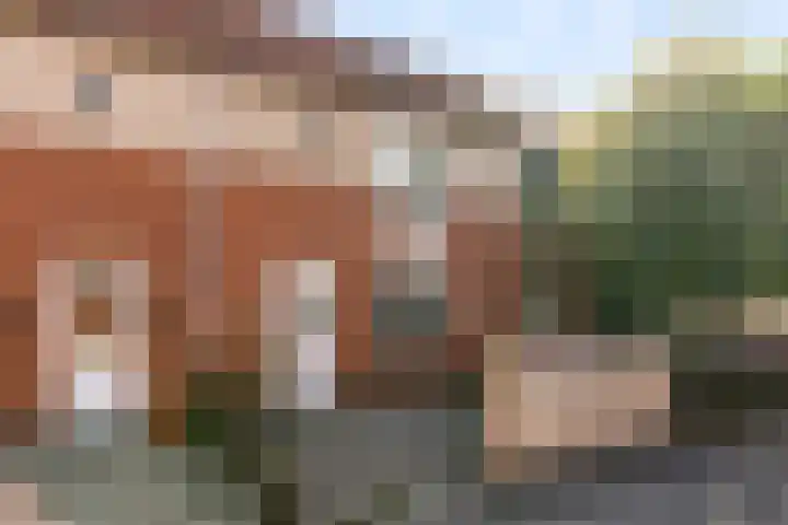 P.S. Gerbrandypad 24 Almere thumbnail 5