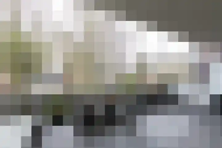 P.S. Gerbrandystraat 12 Papendrecht thumbnail 17