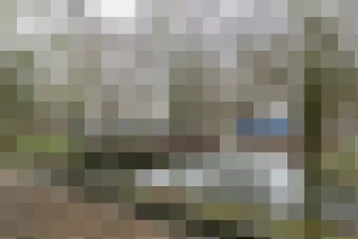 P.S. Gerbrandystraat 12 Papendrecht thumbnail 19