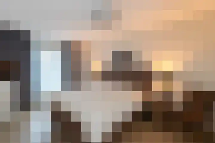 P.S. Gerbrandystraat 12 Papendrecht thumbnail 20