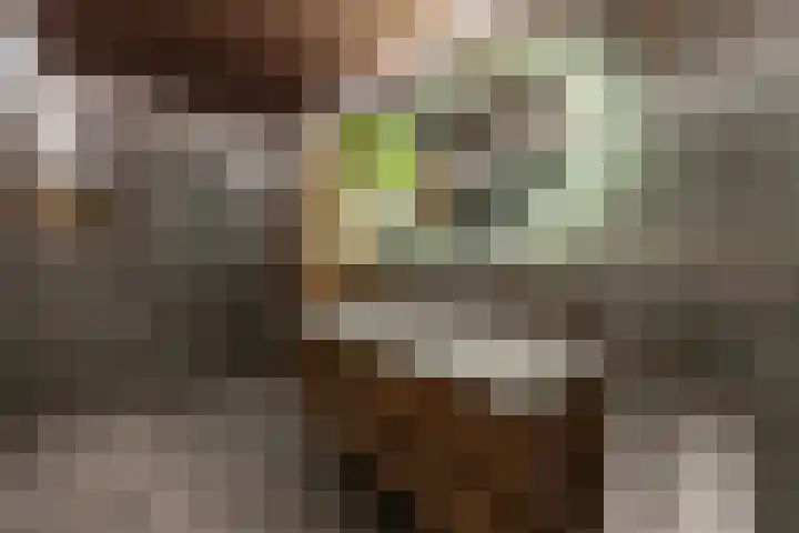 P.S. Gerbrandystraat 12 Papendrecht thumbnail 26