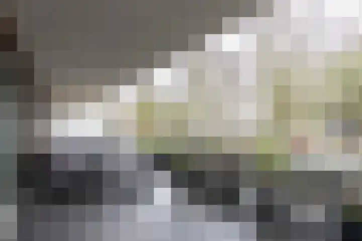P.S. Gerbrandystraat 12 Papendrecht thumbnail 4