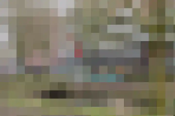 P.S. Gerbrandystraat 12 Papendrecht thumbnail 5