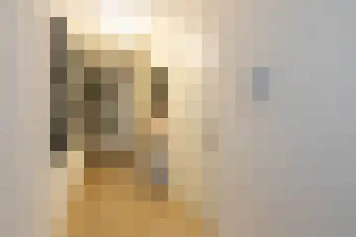 P.S. Gerbrandystraat 12 Papendrecht thumbnail 9