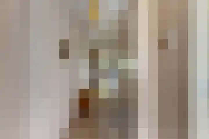P.S. Gerbrandystraat 14 Papendrecht thumbnail 10