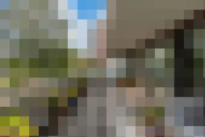 P.S. Gerbrandystraat 14 Papendrecht thumbnail 19