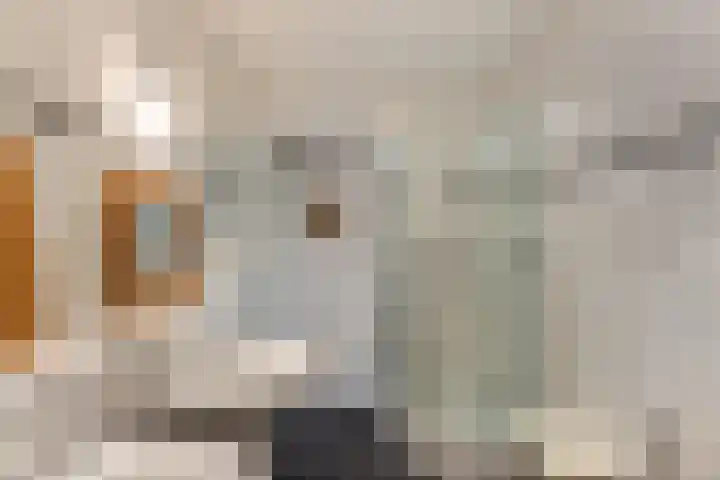P.S. Gerbrandystraat 14 Papendrecht thumbnail 22