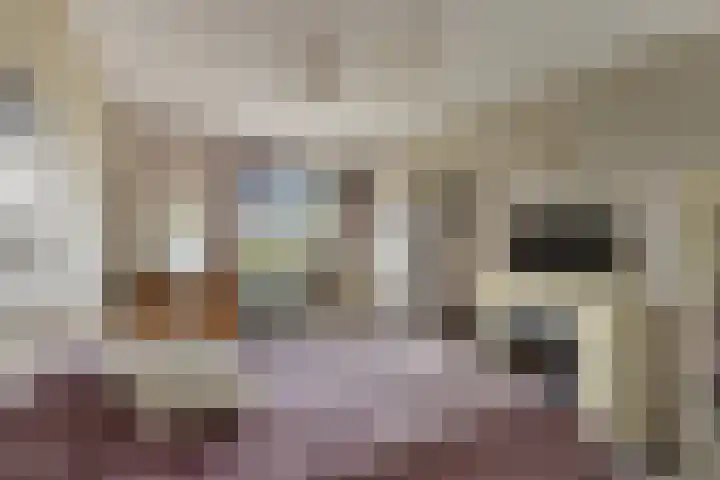 P.S. Gerbrandystraat 14 Papendrecht thumbnail 25