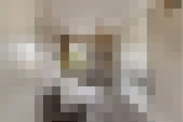 P.S. Gerbrandystraat 14 Papendrecht thumbnail 27
