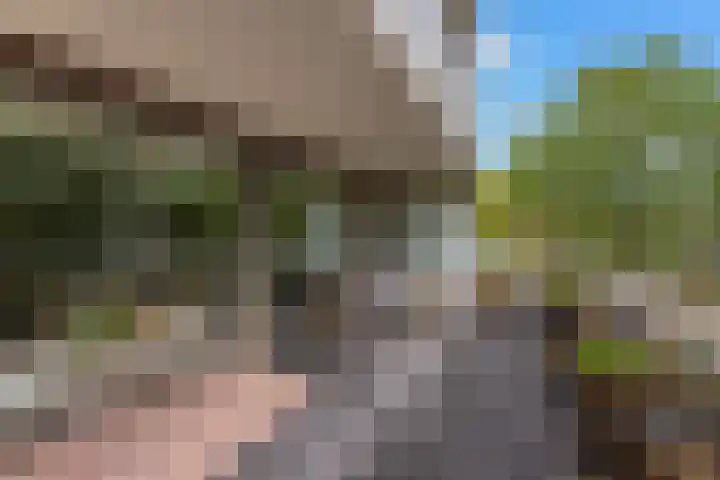 P.S. Gerbrandystraat 14 Papendrecht thumbnail 4